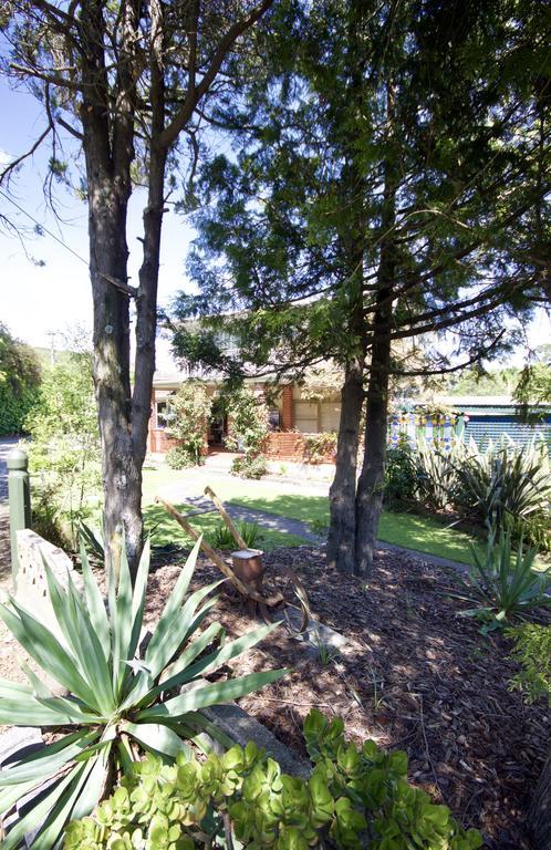 Driftwood House Bed And Breakfast Nelson Esterno foto